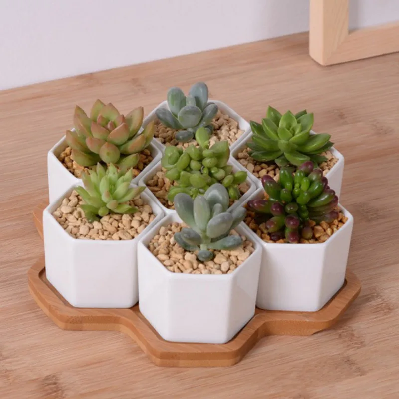 Set of 4/7/9/10 Hexagon Flower - Desk Setup White recensione e prezzo