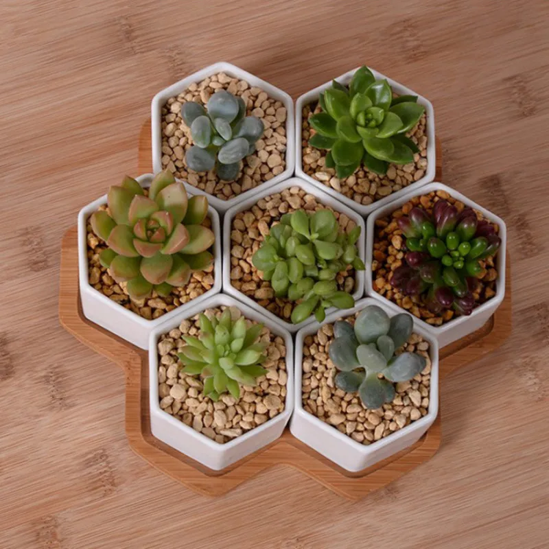 Set of 4/7/9/10 Hexagon Flower - Desk Setup White recensione e prezzo