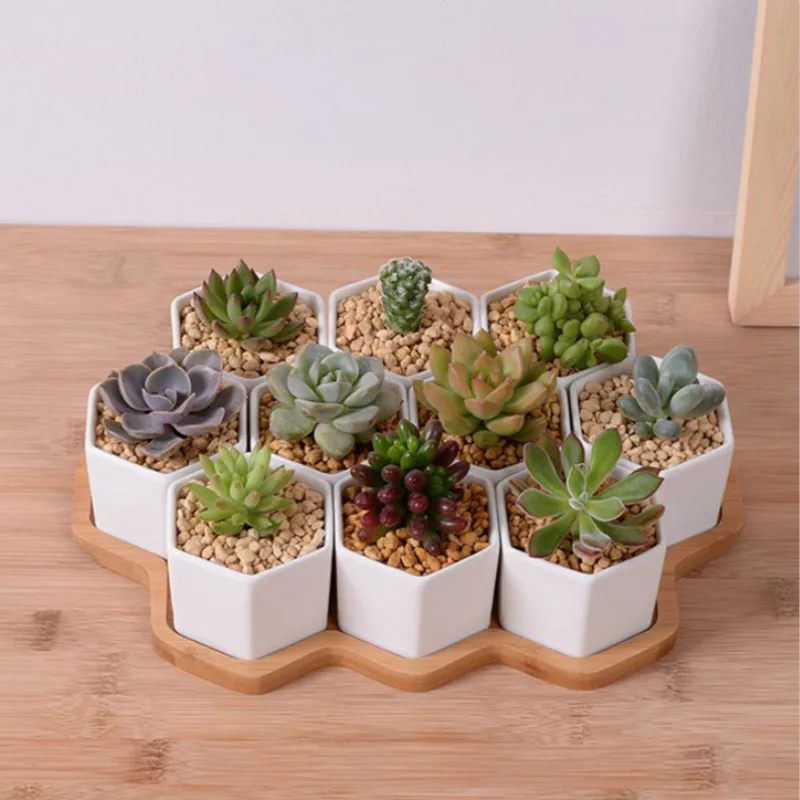 Set of 4/7/9/10 Hexagon Flower - Desk Setup White recensione e prezzo